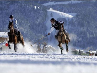 Skidorf Gemütliches, ruhiges Skidorf in der Nähe großer Skigebiete-4