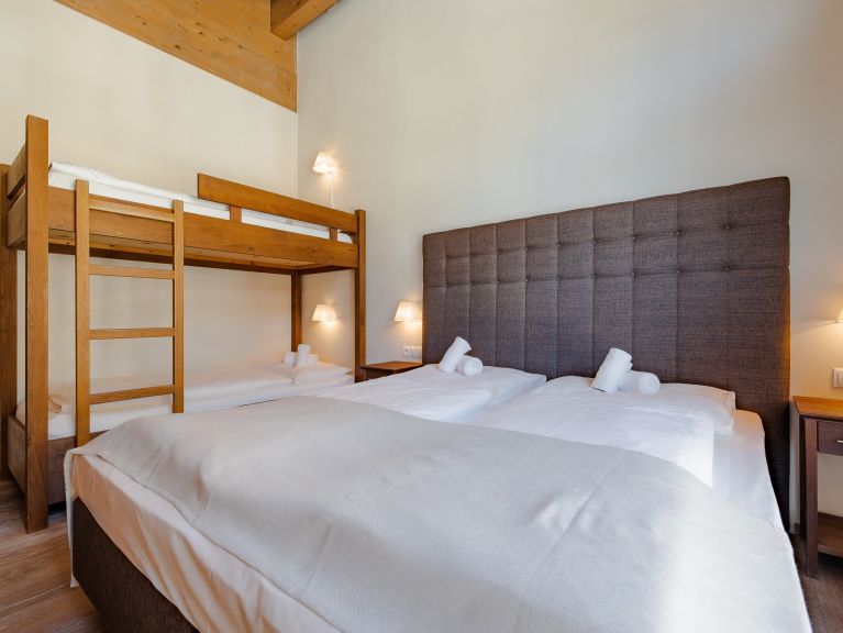 Ferienwohnung Wildkogelresorts Penthouse Typ IIIb