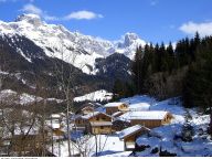 Ferienhaus Alpendorf Dachstein-West Gamsblume-18