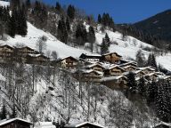 Ferienwohnung AlpenParks Rehrenberg Classic-22