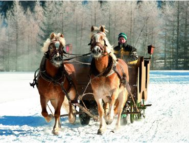 Skidorf Zentrales Skidorf mit Wellnesseinrichtungen und gutem Après-Ski-6