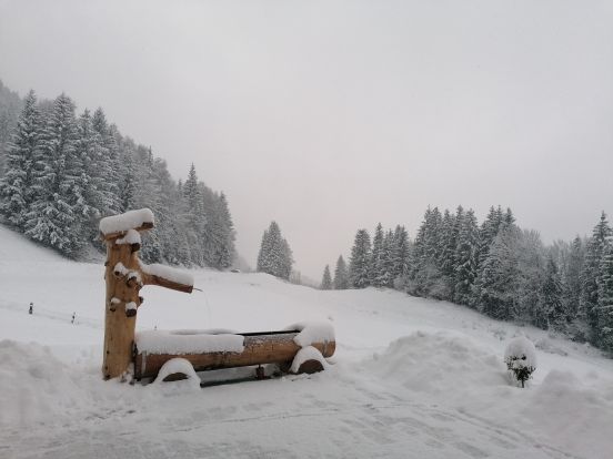 Ferienhaus Winterreitgut-16