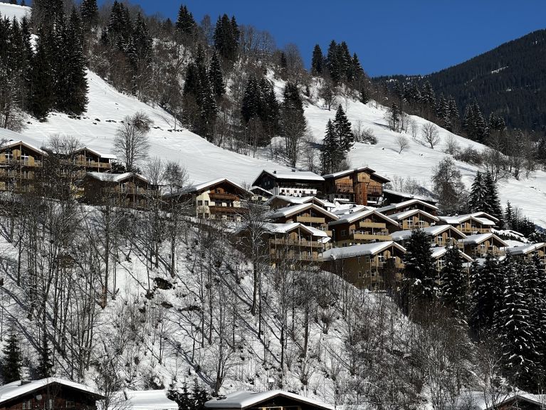 Ferienwohnung AlpenParks Rehrenberg Luxury