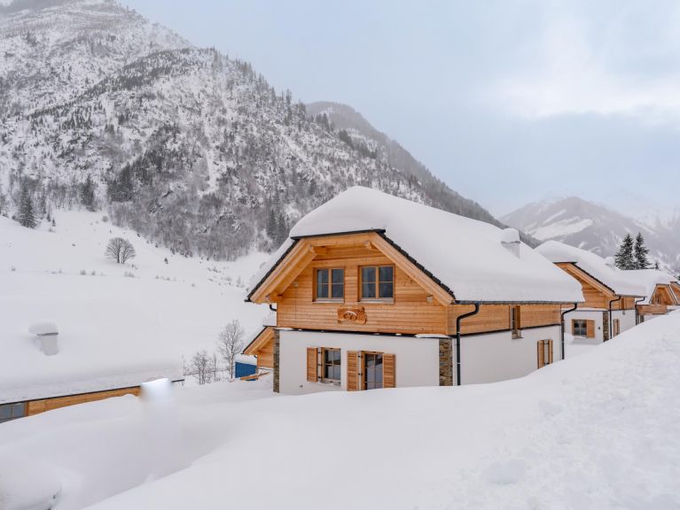 Ferienhaus Riesneralm Pretzel