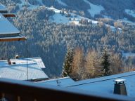 Ferienhaus De Vallandry Typ 2 Supérieur, Le Gland d'Or-28