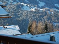 Ferienhaus De Vallandry Typ 2 Supérieur, Le Gland d'Or-32