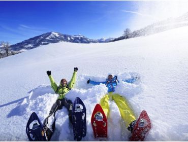 Skidorf Kleines, gemütliches Dorf in der Skiwelt-2