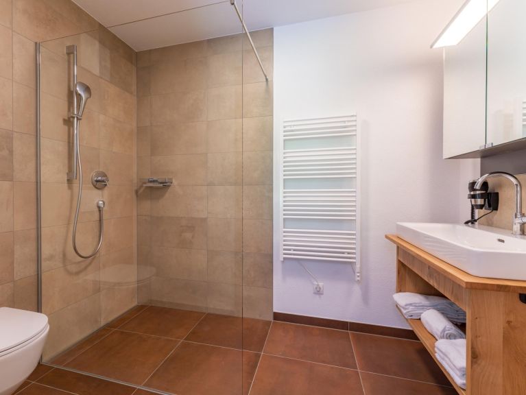 Ferienhaus Pinzgau Lodge 2C