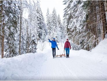 Skidorf Kleines, gemütliches Dorf in der Skiwelt-4