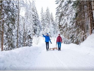 Skidorf Kleines, gemütliches Dorf in der Skiwelt-4