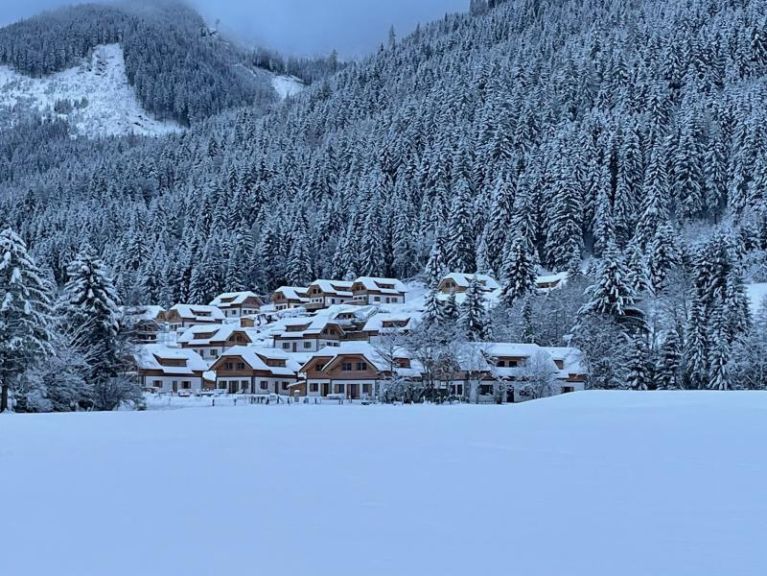 Ferienhaus Riesneralm Hirschblick