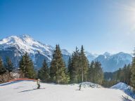 Ferienwohnung Les Alpages de Champagny Ferienwohnung B11-25