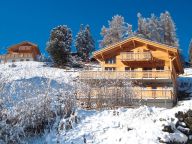 Ferienhaus Paradis des 4 Vallees mit eigener Sauna und Whirlpool-18