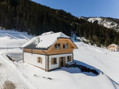 Ferienhaus Riesneralm Im grünen Herzen-1