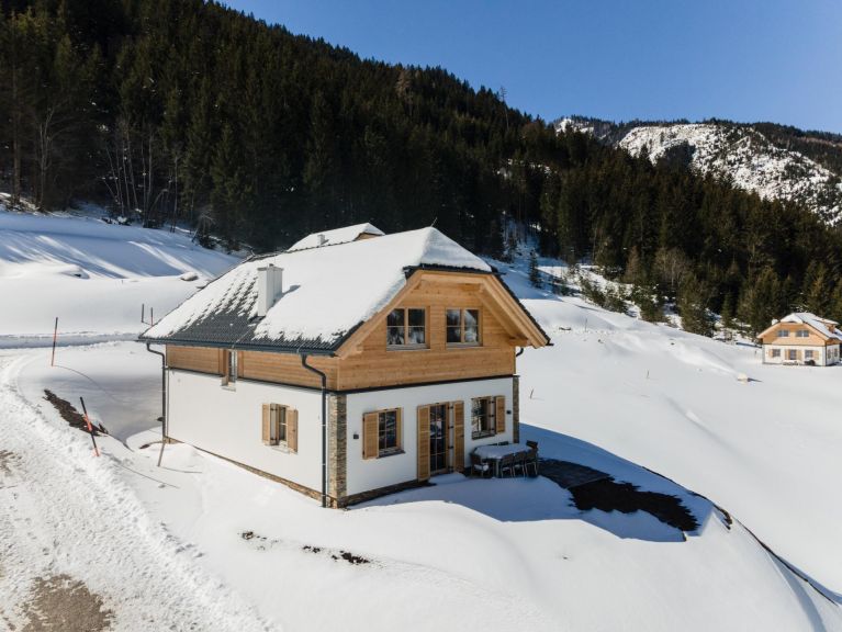 Ferienhaus Riesneralm Im grünen Herzen