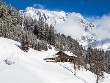 Skidorf Gemütlicher Ort für Familien-4