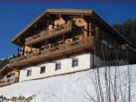 Ferienhaus Schöneben Bauernhaus Westseite mit Sauna-22
