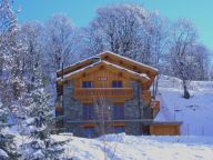 Ferienhaus Paradis de St. Martin Mit Sauna-14