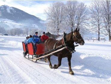 Skidorf Rustikes Dorf nur einen Steinwurf von Kaprun und Zell am See entfernt-6