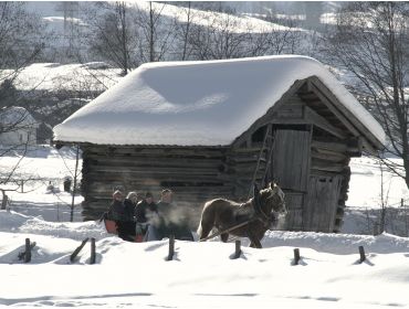 Skidorf Rustikes Dorf nur einen Steinwurf von Kaprun und Zell am See entfernt-7