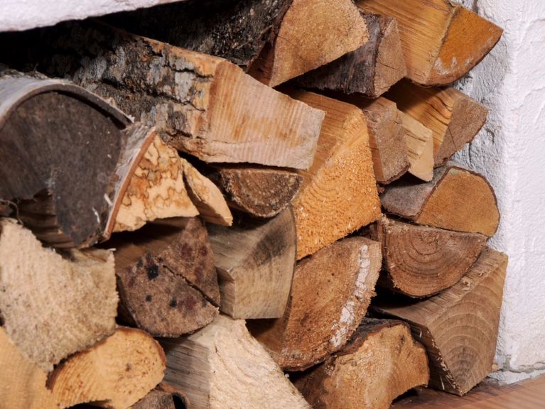 Ferienhaus Almchalet am Katschberg Almchalet