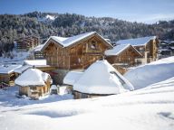 Ferienhaus du Cocoon Pierra Menta 1 mit Sauna und gemeinsamem Außenwhirlpool-32