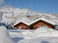 Ferienhaus Feriendorf Wildschönau-13