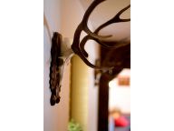 Ferienhaus Kraxner Catering-Service inklusive-15