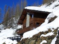 Ferienhaus Aspen mit Privatsauna-19