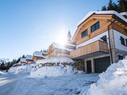 Ferienhaus Riesneralm Edelweiss Lodge-1