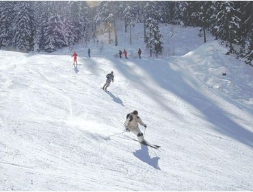 Skidorf Kinderfreundliches Skidorf mit vielen Einrichtungen-6