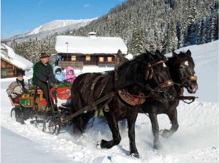 Skidorf Ruhiges und gemütliches Dorf in der Salzburger Sportwelt-1