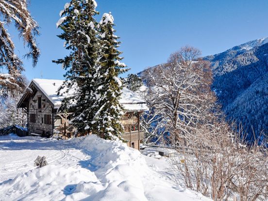 Ferienhaus Rosablanche-26