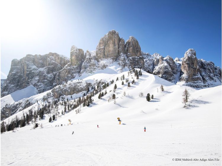 Skigebiet Dolomiten - Val Gardena-1