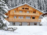 Ferienhaus Vonnes ganzes Ferienhaus, mit privater Sauna-19