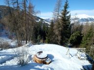 Ferienhaus De Vallandry Nowen mit Sauna und Außenwhirlpool-3