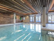 Ferienwohnung Altitude de l'Ours mit eigener Sauna-13