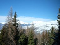 Ferienhaus De Vallandry Nowen mit Sauna und Außenwhirlpool-29