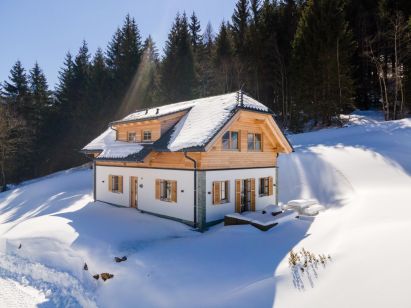 Ferienhaus Riesneralm Wanderlust-1