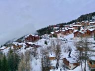 Ferienhaus De Vallandry Nowen mit Sauna und Außenwhirlpool-28