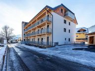 Ferienwohnung Ski & Nature Penthouse mit privater Sauna-30