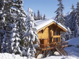 Chalets und Wohnungen für 10 Personen in Österreich