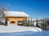 Ferienhaus Teychenne Mungo mit eigener Sauna-27