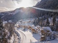 Ferienhaus Riesneralm Bergzauber-23