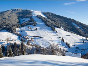 Skidorf Malerisches, ruhiges Skidorf, ideal für Familien-2