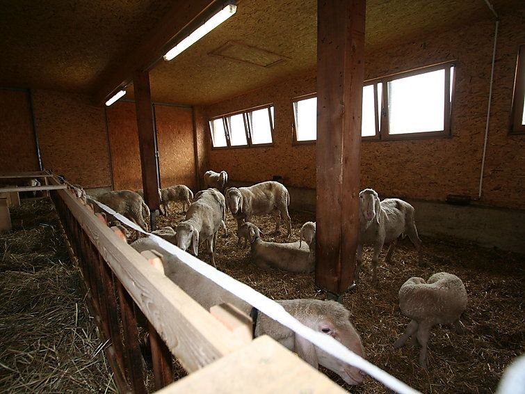 Ferienwohnung s´ HimmelReich