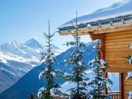 Ferienhaus Teychenne Mungo mit eigener Sauna-21