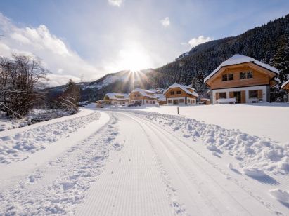 Ferienhaus Riesneralm-1