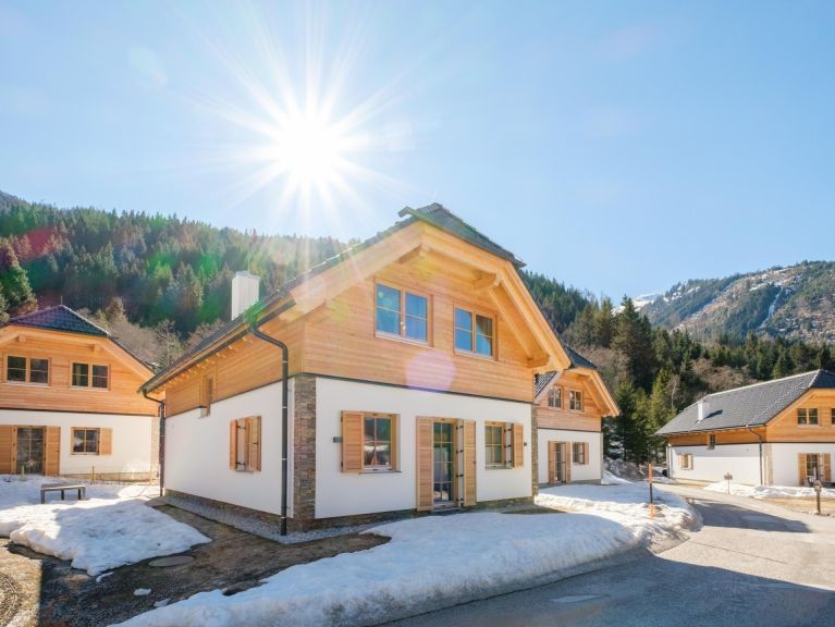 Ferienhaus Riesneralm Steier Hütte