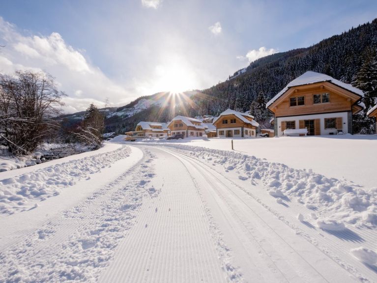 Ferienhaus Riesneralm Auerhahn